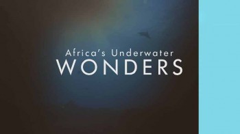 Африканские подводные чудеса