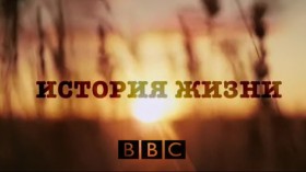 BBC История Жизни / Life Story (2014)
