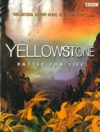 Йеллоустоун: Битва за жизнь