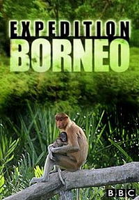 Тропический рай Борнео