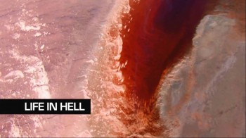 Выживание в аду