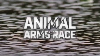 Животные: гонка вооружения