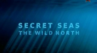 BBC История моря 2 На диком севере