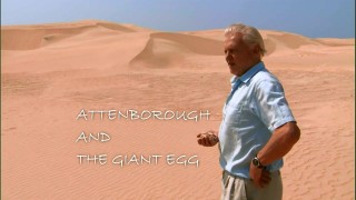 BBC Мадагаскар 4 Аттенбро и гигантское яйцо