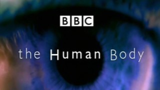 BBC Тело человека 4 Период полового созревания (1998)