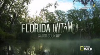 Дикая Флорида 1 Край аллигаторов (2014) HD