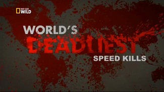 Первая тройка самых опасных животных (Убийственная скорость) / World's Deadliest. Speed Kills (2013)