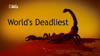 Первая тройка самых опасных животных (Голодные игры) / World's Deadliest. Hunger Games (2013)