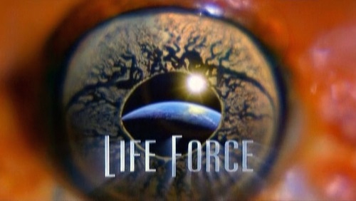 Сила жизни 1 серия. Новая Зеландия / Life force (2010)
