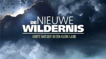 Дикая природа Нидерландов 02 серия. Лето - пора взрослеть / De Nieuwe Wildernis (2013)