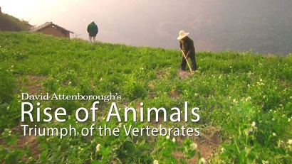 Восхождение животных: Триумф позвоночных 1 серия / Rise of Animals: Triumph of the Vertebrates (2013)