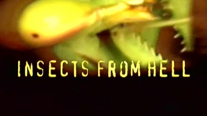 Эти кошмарные насекомые 06 серия. Паутина и челюсти / Insects from Hell (2004)
