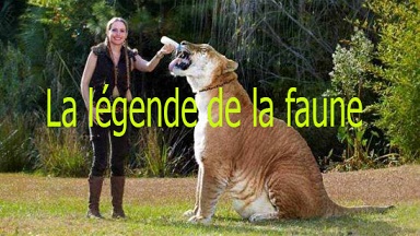 Легенды дикой природы 4 серия. Травоядные великаны / La l?gende de la faune (2014)