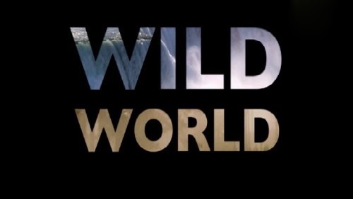 Мир Дикой Природы 4 сезон 8 серия. Аллигаторы / Wild World (2013)
