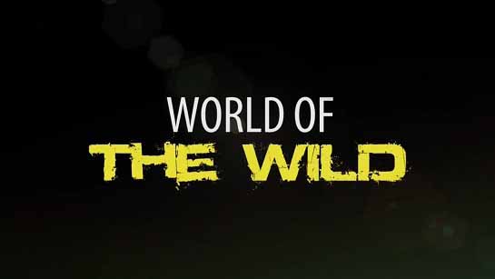Мир дикой природы 02 серия. Африканская саванна / World of the Wild (2016)