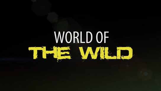 Мир дикой природы 03 серия. Большой Барьерный риф / World of the Wild (2016)