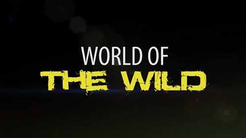 Мир дикой природы 05 серия. Американские прерии / World of the Wild (2016)