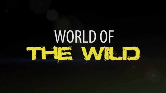 Мир дикой природы 08 серия. Болота / World of the Wild (2016)