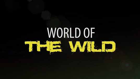 Мир дикой природы 09 серия. Пустыни / World of the Wild (2016)