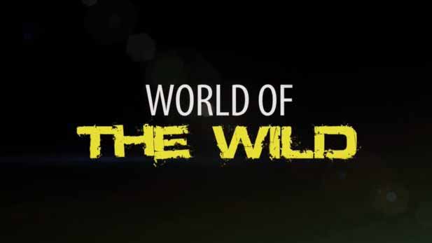 Мир дикой природы 11 серия. Водопой / World of the Wild (2016)