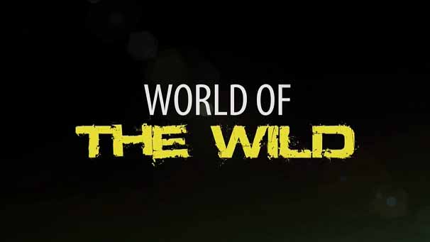 Мир дикой природы 13 серия. Мадагаскар / World of the Wild (2016)