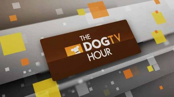 Пёс-ТВ 3 серия / The Dog TV Hour (2016)