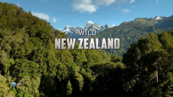 Дикая природа Новой Зеландии 2 серия. Дикие крайности / Wild New Zealand (2016)