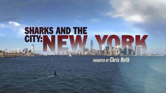 Неделя акул 4 серия. Акулы в большом городе: Нью-Йорк / Shark Week (2017)
