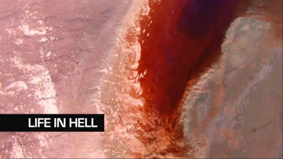Выживание в аду 1 серия. Выживание в соленой и кислой среде / Life in Hell (2010)