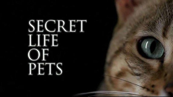 Тайная жизнь домашних питомцев 1 серия / Secret life of pets (2014)