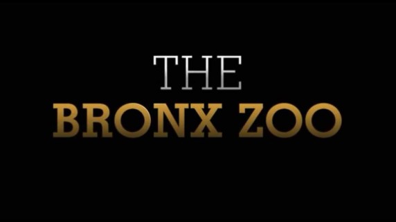 Зоопарк 2 сезон: 10 серия. Сердце гориллы / The Bronx Zoo (2018)