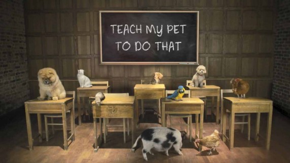 Обучите моего питомца 3 серия / Teach my pet to do that (2017)