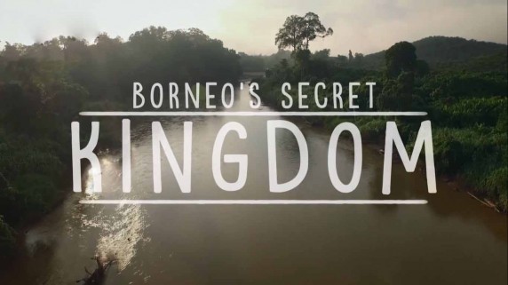 Секретное королевство Борнео 1 серия. Лес летучих змей / Borneo's Secret Kingdom (2015)