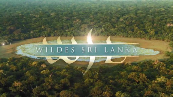 Неоткрытая Шри Ланка 3 серия. Побережье гигантов / Wildes Sri Lanka (2015)