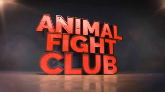 Бойцовский клуб для животных 5 сезон 3 серия. План нападения / Animal Fight Club (2016)
