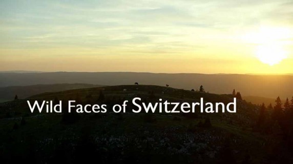 Дикая Швейцария 4 серия. Зима в швейцарских Альпах / Wild Faces of Switzerland (2018)