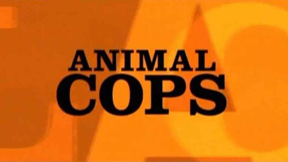 Отдел по защите животных 1 сезон. Полиция Хьюстона 03 серия. Грязная работёнка / Animal Cops: Houston (2005)
