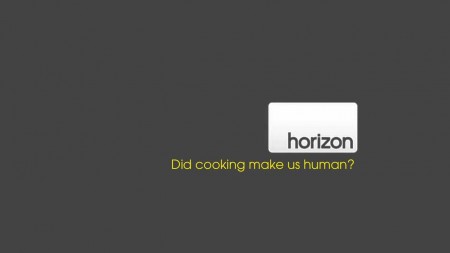 Сделало ли приготовление пищи нас людьми? / Did Cooking Make Us Human? (2010)