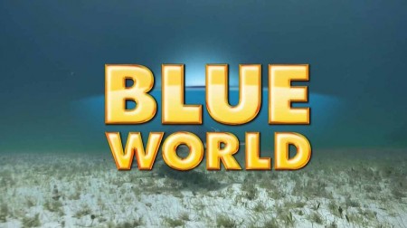 Подводный мир 01 серия. Игра с тигровыми акулами. Подводные пещеры на Багамах / Blue World (2016)