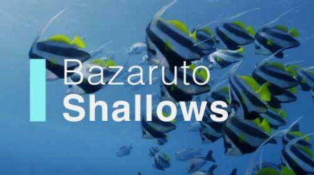 Африканские подводные чудеса 5 серия. Мелководье Базаруто / Africa's Underwater Wonders. Bazaruto shallows (2016)