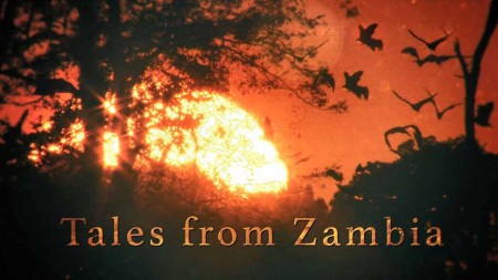 Сказочная Замбия 4 серия. Африканские сады Эдема / Tales from Zambia (2016)