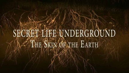 Тайны подземного мира 1 серия. Кожа Земли / Secret Life Underground (2015)