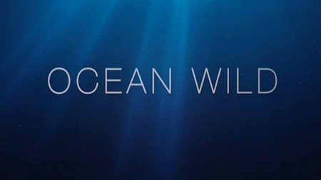 Дикий мир океана 2 серия. Филиппины / Ocean Wild (2020)