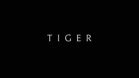 Тайгер 2 серия / Tiger (2020)