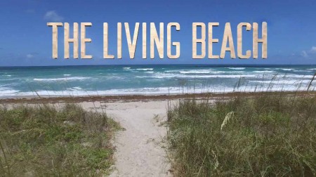 Живой пляж 3 серия. Мексика / The Living Beach (2016)
