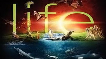 BBC Жизнь / BBC Life 02. Земноводные и рептилии (2009)