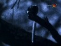 BBC Наедине с природой 21 Лесные малютки - ночные прыгуны