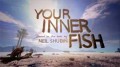 Внутренняя рыба / Your Inner Fish 2 серия (2014) HD