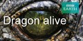 BBC Живые драконы / Dragon alive 1 серия (2004)
