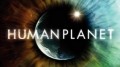 BBC: Планета людей / BBC: Human Planet Серия 8 Города: Жизнь в бетонных джунглях